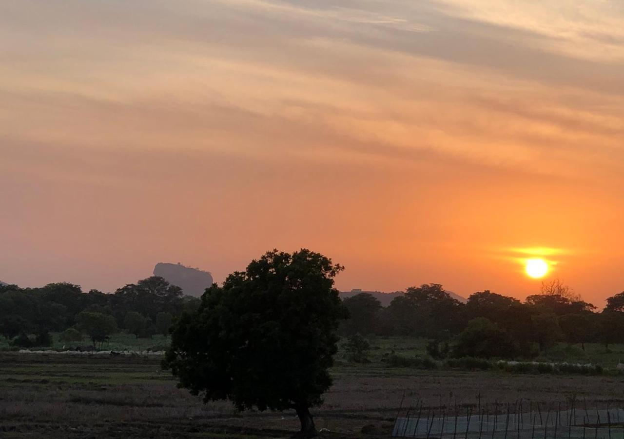 Atteriya Sigiriya Hotel ภายนอก รูปภาพ